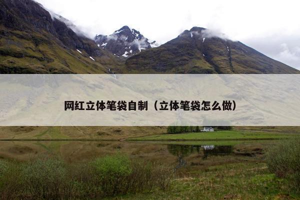 网红立体笔袋自制（立体笔袋怎么做）
