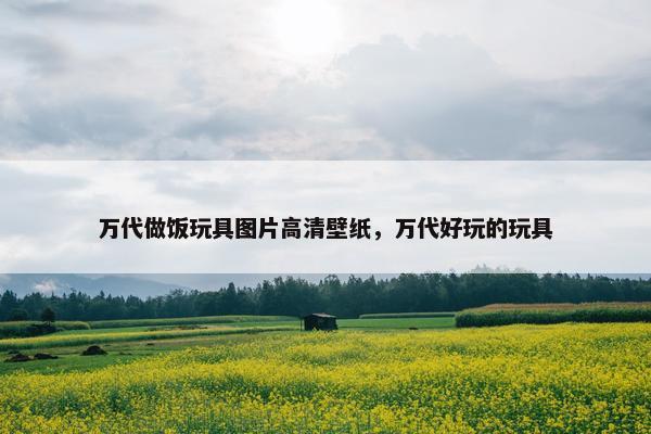 万代做饭玩具图片高清壁纸，万代好玩的玩具
