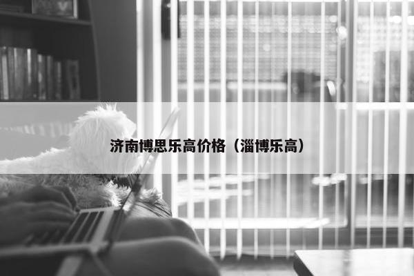 济南博思乐高价格（淄博乐高）