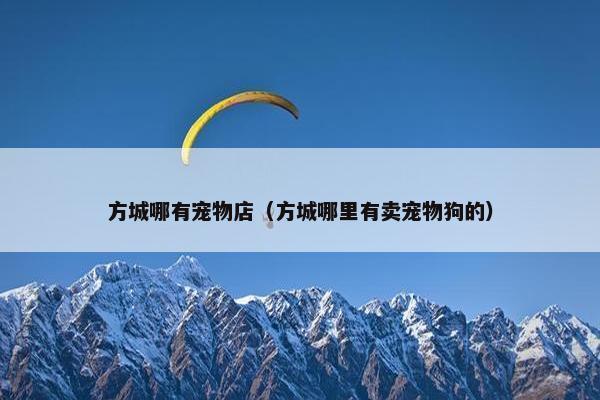 方城哪有宠物店（方城哪里有卖宠物狗的）