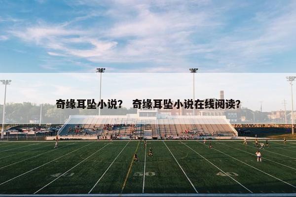 奇缘耳坠小说？ 奇缘耳坠小说在线阅读？