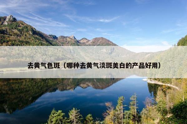 去黄气色斑（哪种去黄气淡斑美白的产品好用）