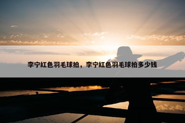 李宁红色羽毛球拍，李宁红色羽毛球拍多少钱