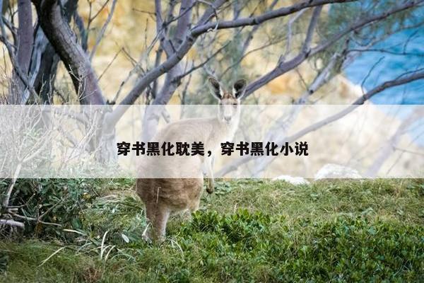 穿书黑化耽美，穿书黑化小说