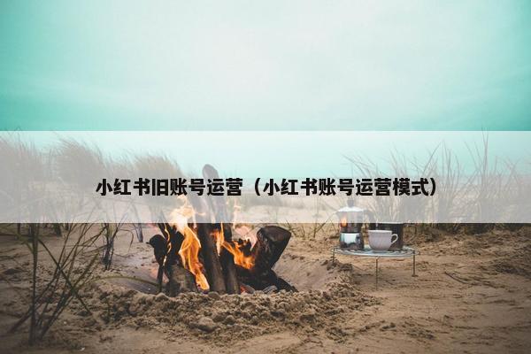 小红书旧账号运营（小红书账号运营模式）