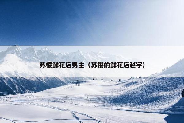 苏樱鲜花店男主（苏樱的鲜花店赵宇）