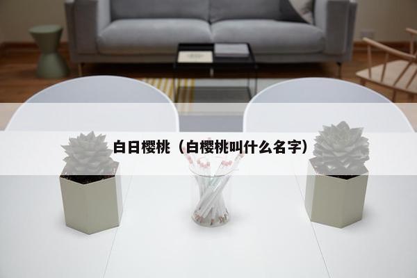 白日樱桃（白樱桃叫什么名字）