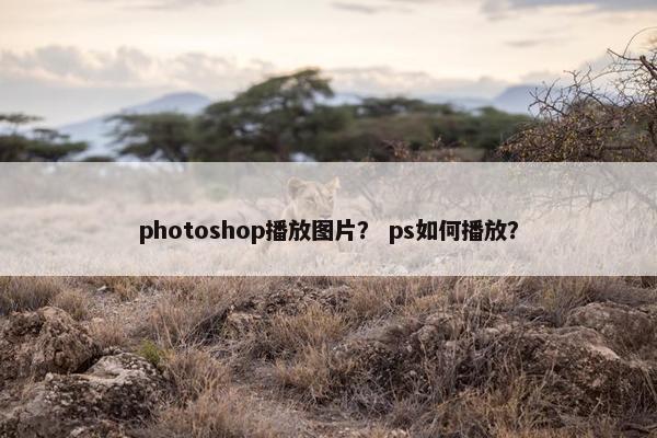 photoshop播放图片？ ps如何播放？
