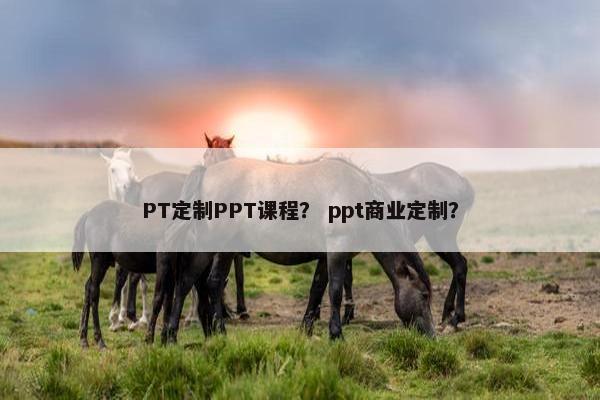 PT定制PPT课程？ ppt商业定制？