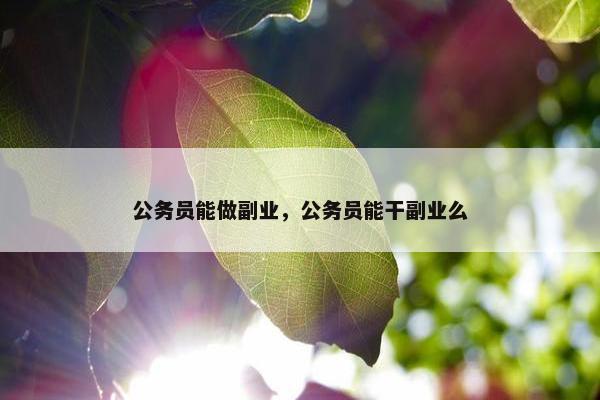 公务员能做副业，公务员能干副业么