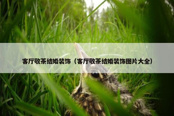 客厅敬茶结婚装饰（客厅敬茶结婚装饰图片大全）