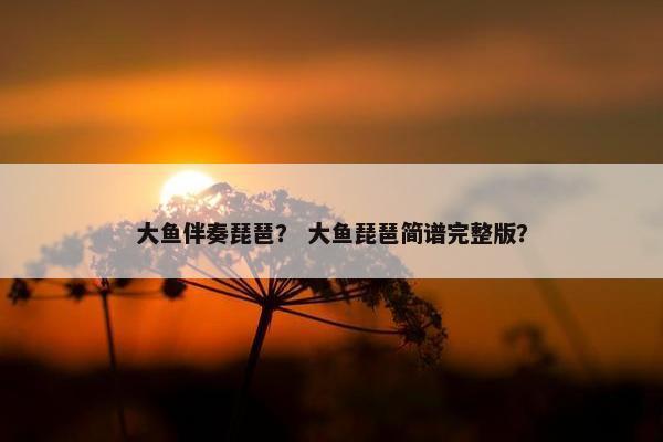 大鱼伴奏琵琶？ 大鱼琵琶简谱完整版？