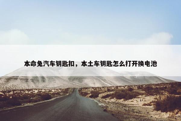 本命兔汽车钥匙扣，本土车钥匙怎么打开换电池