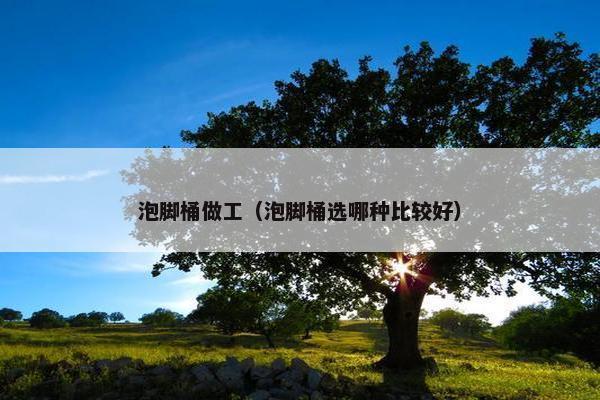 泡脚桶做工（泡脚桶选哪种比较好）