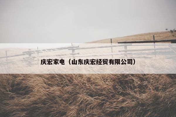 庆宏家电（山东庆宏经贸有限公司）