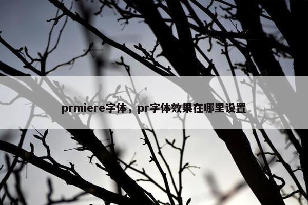 prmiere字体，pr字体效果在哪里设置