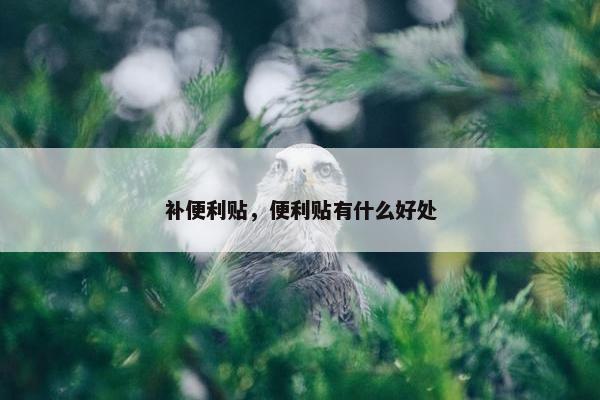 补便利贴，便利贴有什么好处