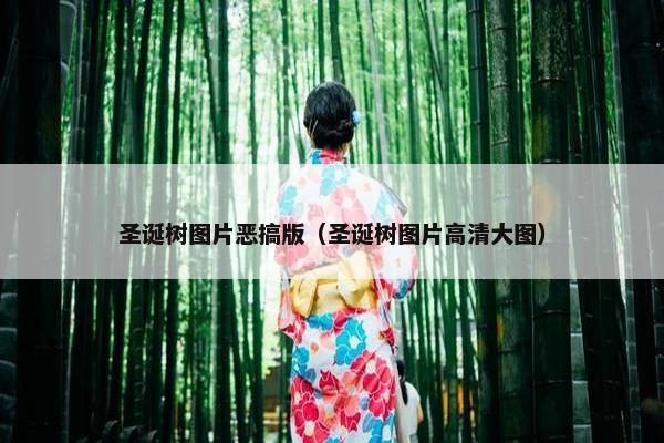圣诞树图片恶搞版（圣诞树图片高清大图）