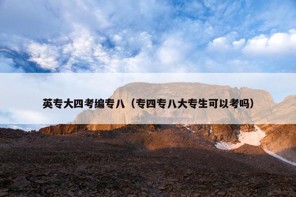 英专大四考编专八（专四专八大专生可以考吗）