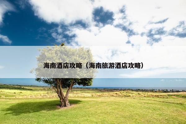 海南酒店攻略（海南旅游酒店攻略）