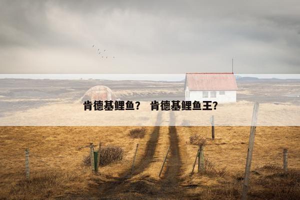 肯德基鲤鱼？ 肯德基鲤鱼王？
