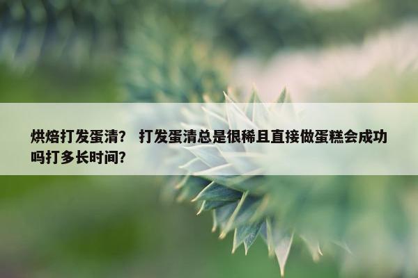 烘焙打发蛋清？ 打发蛋清总是很稀且直接做蛋糕会成功吗打多长时间？