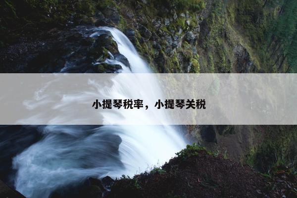 小提琴税率，小提琴关税