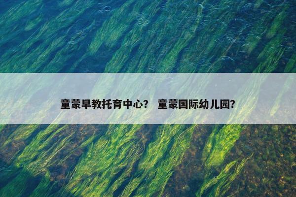 童蒙早教托育中心？ 童蒙国际幼儿园？