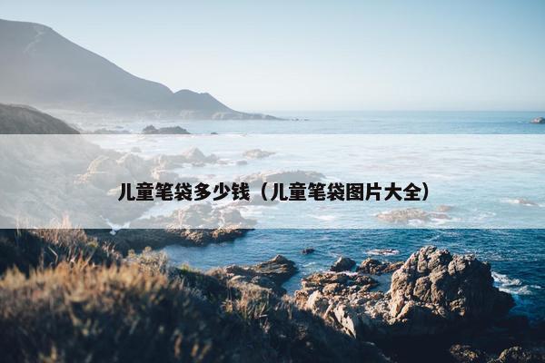 儿童笔袋多少钱（儿童笔袋图片大全）