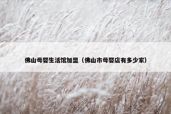 佛山母婴生活馆加盟（佛山市母婴店有多少家）