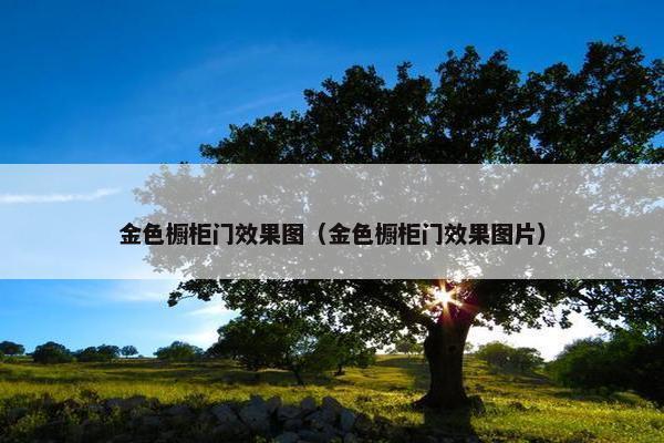 金色橱柜门效果图（金色橱柜门效果图片）