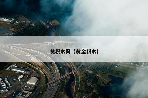 黄积木网（黄金积木）