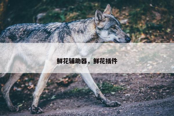 鲜花辅助器，鲜花插件