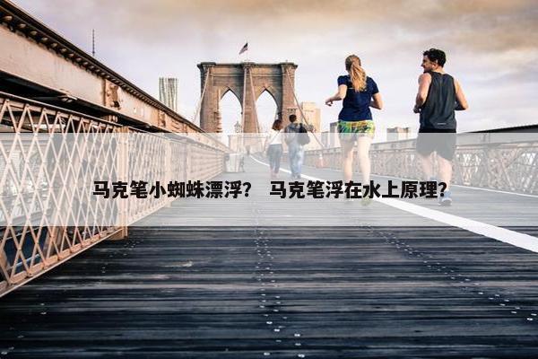 马克笔小蜘蛛漂浮？ 马克笔浮在水上原理？