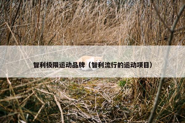 智利极限运动品牌（智利流行的运动项目）