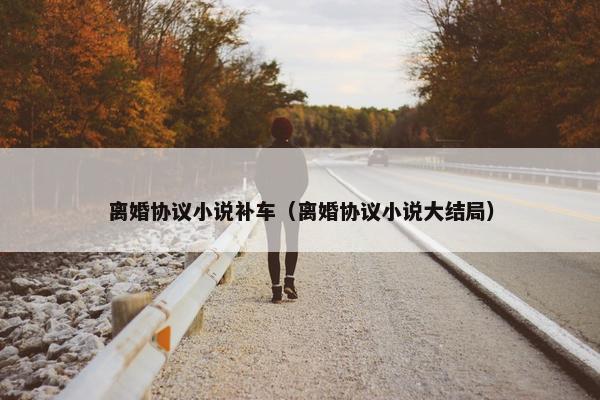 离婚协议小说补车（离婚协议小说大结局）
