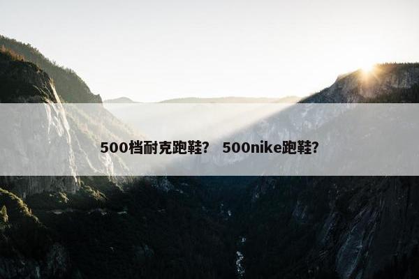 500档耐克跑鞋？ 500nike跑鞋？