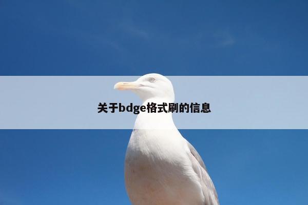 关于bdge格式刷的信息