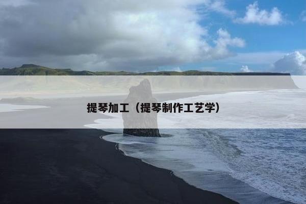 提琴加工（提琴制作工艺学）