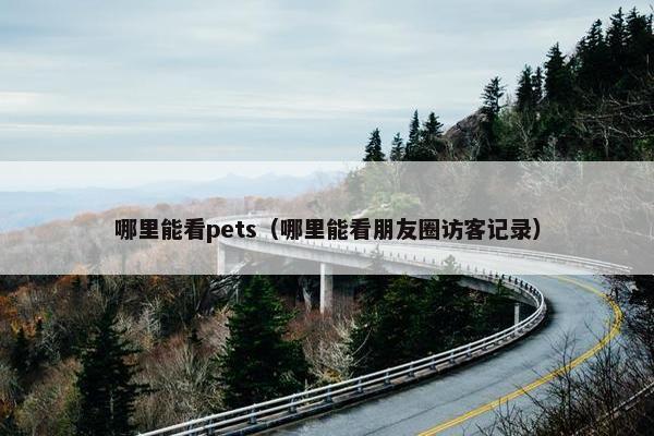 哪里能看pets（哪里能看朋友圈访客记录）