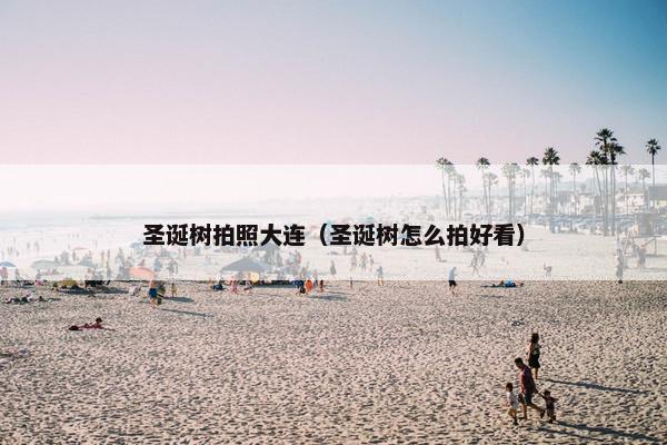 圣诞树拍照大连（圣诞树怎么拍好看）