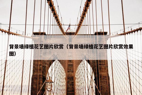 背景墙绿植花艺图片欣赏（背景墙绿植花艺图片欣赏效果图）