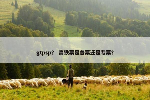 gtpsp？ 高铁票是普票还是专票？
