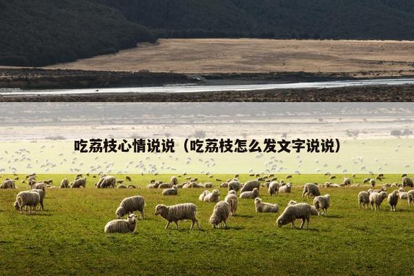 吃荔枝心情说说（吃荔枝怎么发文字说说）