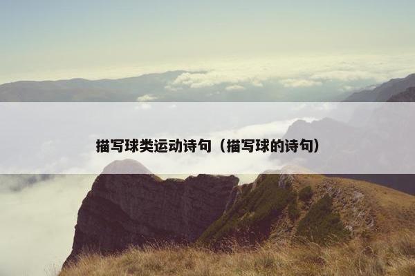 描写球类运动诗句（描写球的诗句）