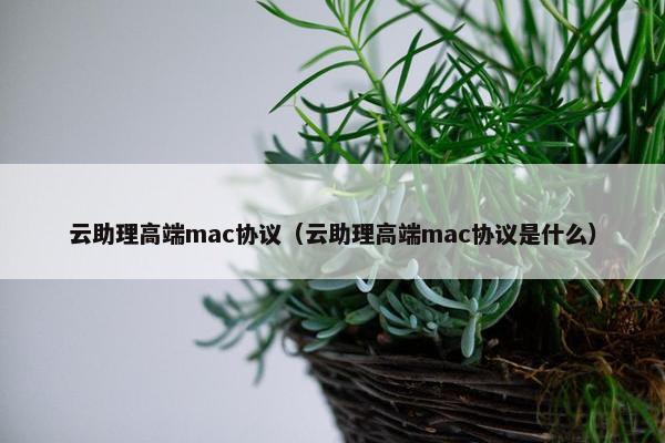 云助理高端mac协议（云助理高端mac协议是什么）
