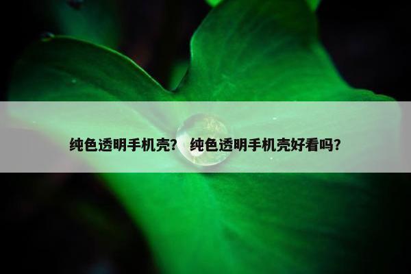 纯色透明手机壳？ 纯色透明手机壳好看吗？