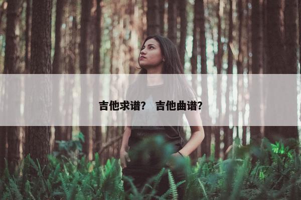 吉他求谱？ 吉他曲谱？