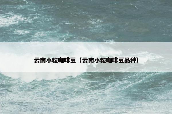云南小粒咖啡豆（云南小粒咖啡豆品种）