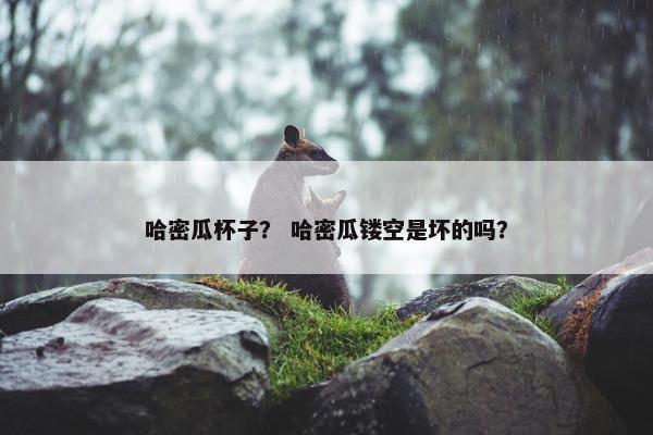 哈密瓜杯子？ 哈密瓜镂空是坏的吗？
